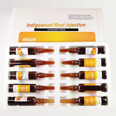 دامپزشکی ISO9001 Banlangen داروهای ثبت اختراع چینی تزریق ریشه Indigowoad