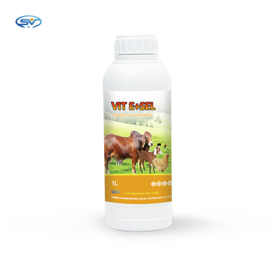 محلول خوراکی ویتامین E و سلنیوم دارو برای پرندگان کوچک اسب گربه و سگ 5 لیتر 1 لیتر