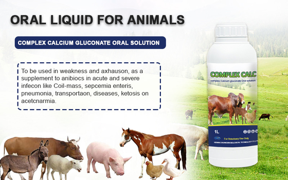 محلول خوراکی دارو مجتمع کلسیم گلوکونات محلول خوراکی برای اسب گاو گوسفند