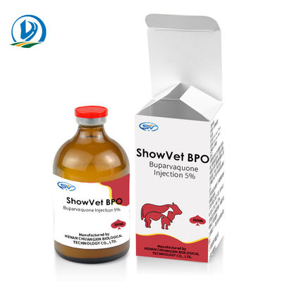 تزریق بوپارواکون 5% داروهای تزریقی دامپزشکی برای گاو گوساله گوسفند بز سگ گربه